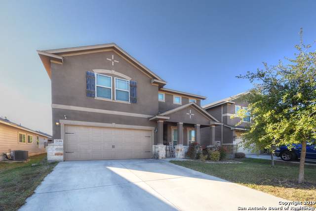 2539 Gato Del Sol - Photo 1