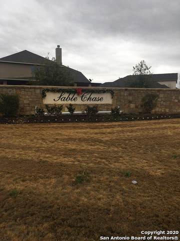 27067 Sable Run - Photo 1