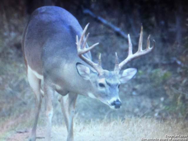 0 County Road 426 - Photo 1