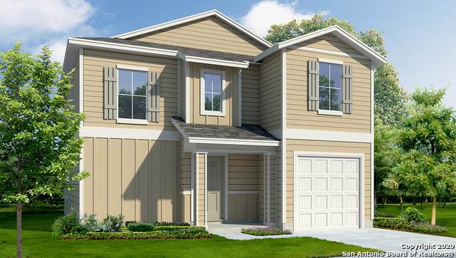 11911 Hondo Creek - Photo 1