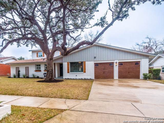 11210 Cedar Elm Dr - Photo 1