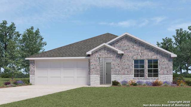 833 Armadillo - Photo 1