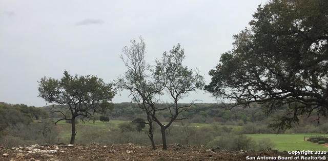 LOT 125 Rio Frio Ct - Photo 1