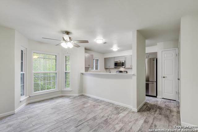 13130 Blanco Rd - Photo 1