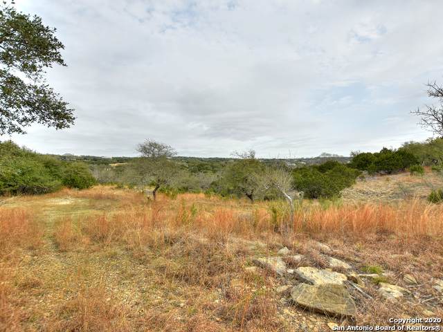 18012 Turkey Trot Trail - Photo 1