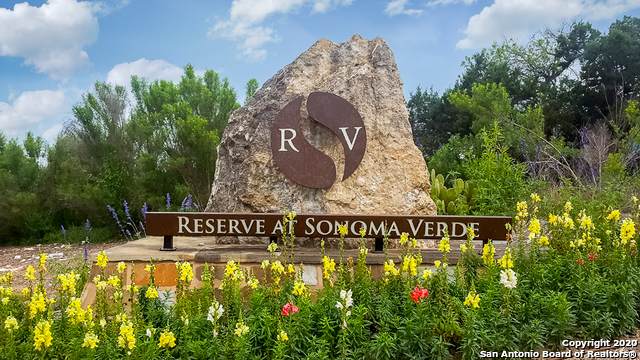 17530 Rancho Diana - Photo 1