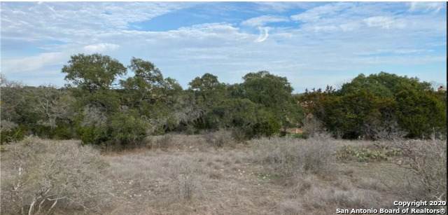 210 Mexican Hat Dr - Photo 1