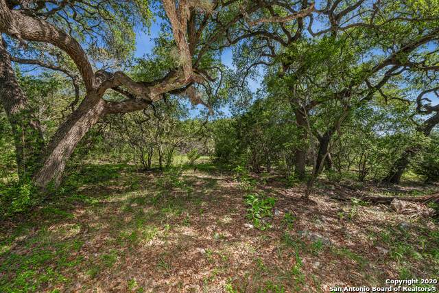 3620 LOT 2 Rust - Photo 1