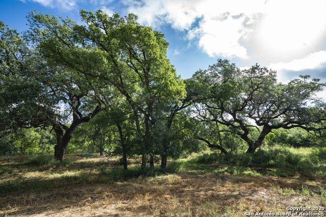 45 ACRES Hwy 16 - Photo 1