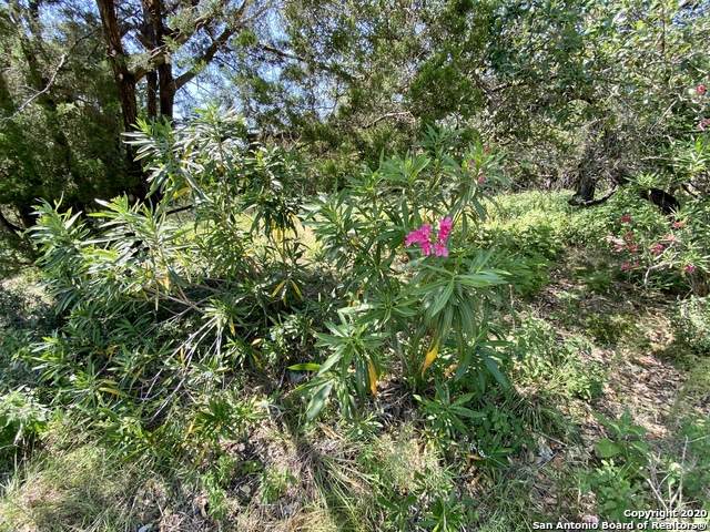 1466/1476 Paradise Dr - Photo 1