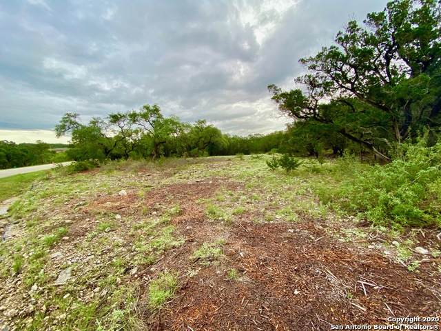 27611 Sunset Loop - Photo 1
