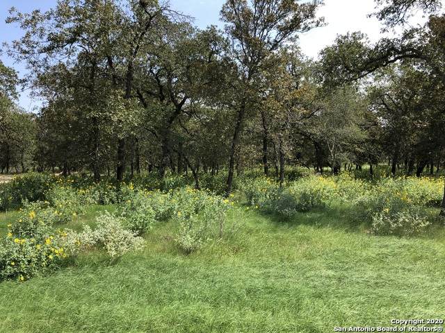 124 Tranquility Dr - Photo 1