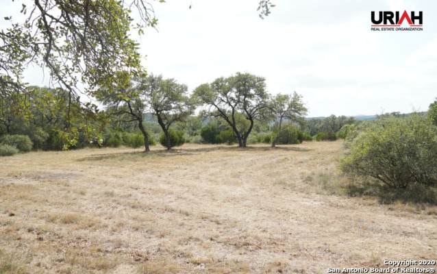 24.69 ACRES High Bluff Rd - Photo 1