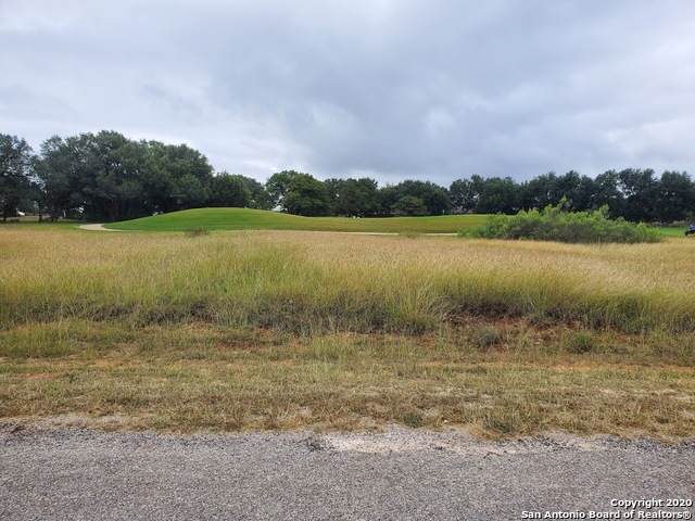 111 Hiram Cook - Photo 1