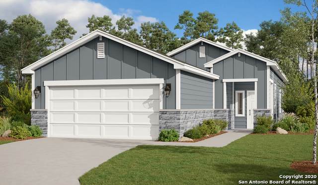 3853 Ivy Path - Photo 1