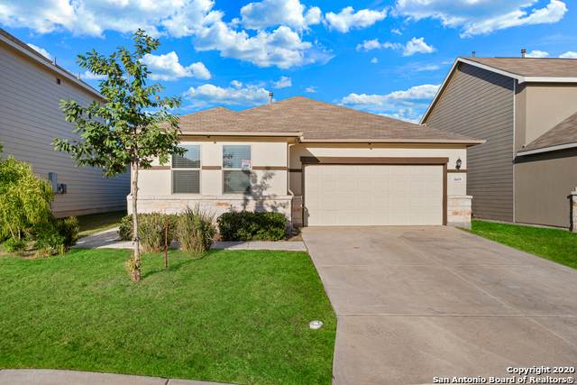 10419 Rosalina Loop - Photo 1