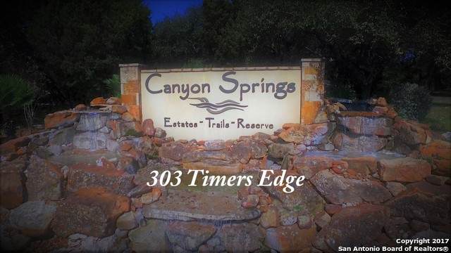303 Timers Edge - Photo 1