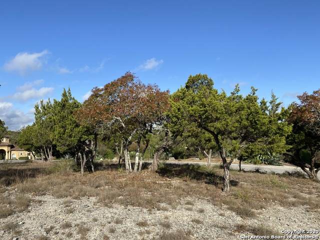 11322 Caliza Crest - Photo 1