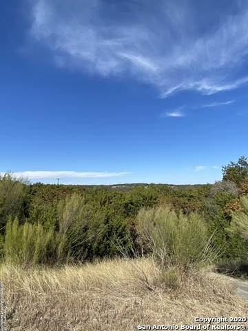 2421/2427 Comal Spgs - Photo 1