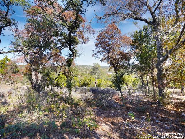 10425 Doherty Spring - Photo 1