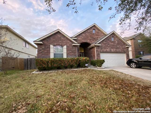 11019 Mustang Spring - Photo 1