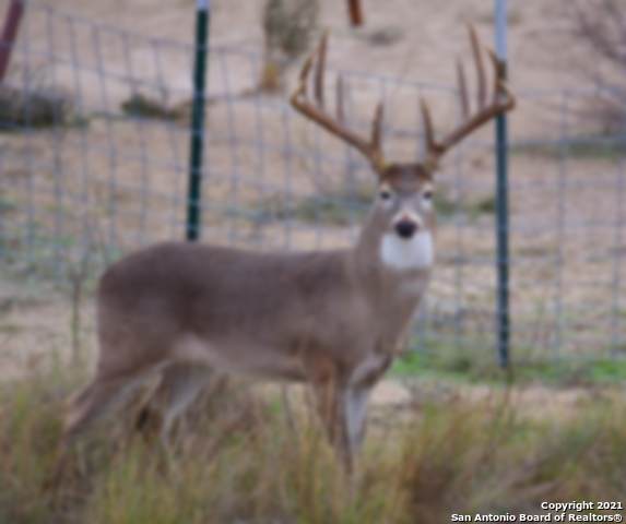 223 2691 - Photo 1