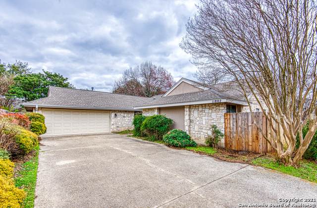 11802 Silverberry Cove - Photo 1