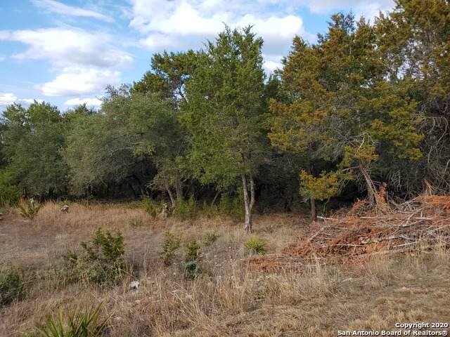713 Firefly Dr - Photo 1
