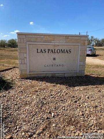 35 Ala Blanca Dr - Photo 1