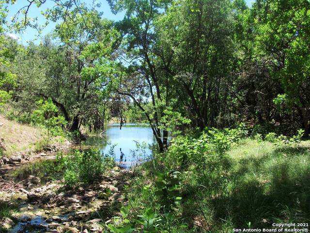 1406 Canyon Lake Dr - Photo 1