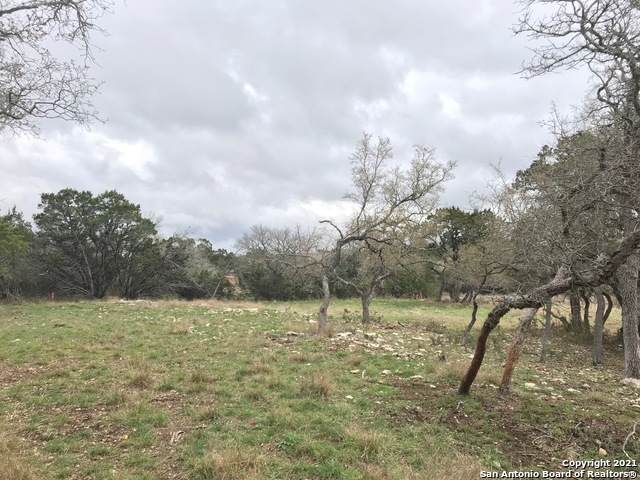 125 Lookout Ct - Photo 1