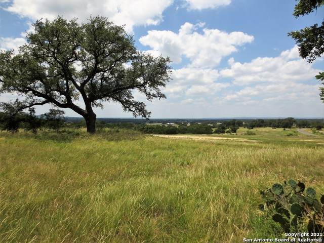 LOT 798 Little Sorrel Way - Photo 1