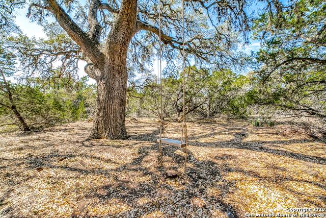 LOT 20 VAQUERO Vaquero - Photo 1