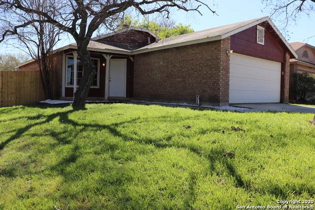 10102 Terra Oak - Photo 1