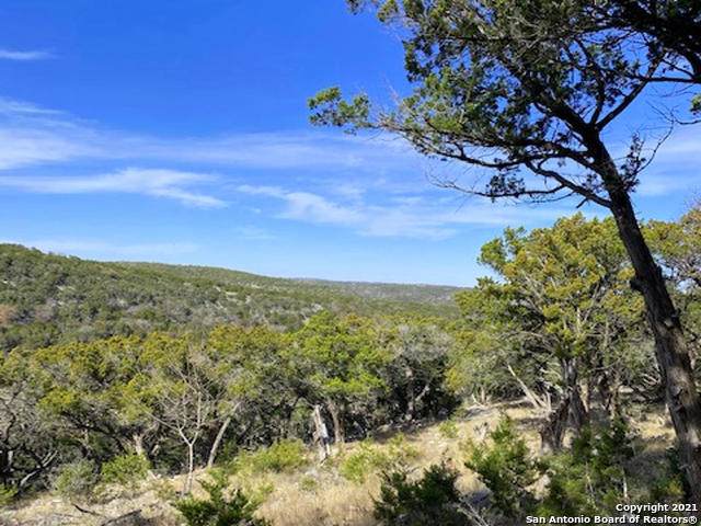 LOTS 71 & 72 Upper Loma Verde - Photo 1
