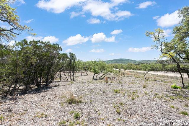 LOT 67 Winton Ridge - Photo 1