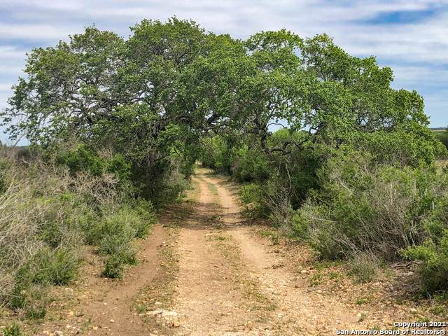 901 County Road 654 - Photo 1