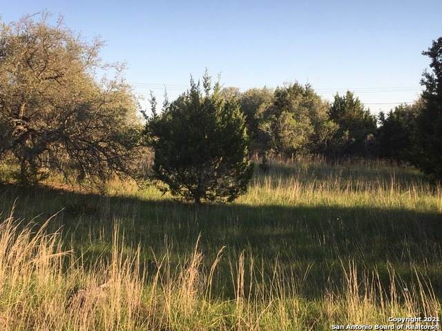 135 Zinnia Ave - Photo 1
