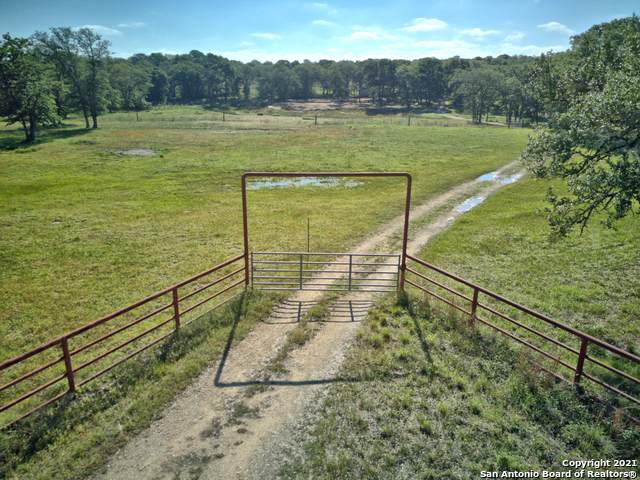 1251 Nockenut Rd - Photo 1