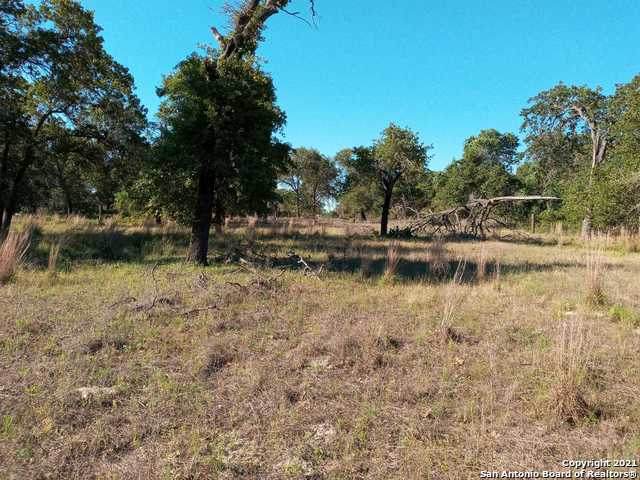 23311 Trumbo Rd - Photo 1