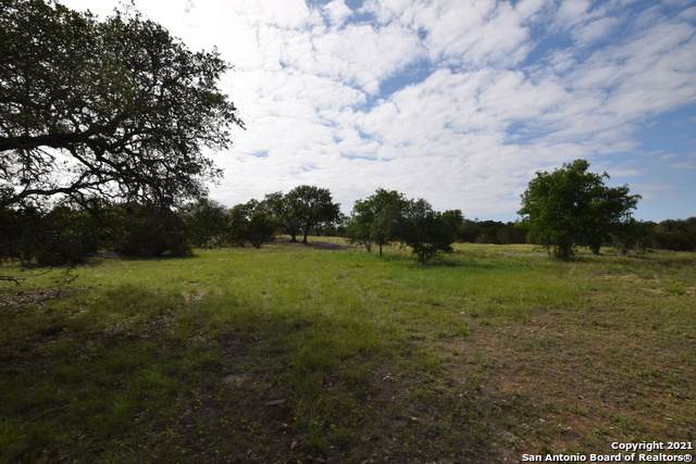 PARCEL 5 Rio Lantana - Photo 1