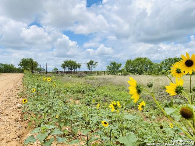 TBD County Road 2300 Lot 4 - Photo 1