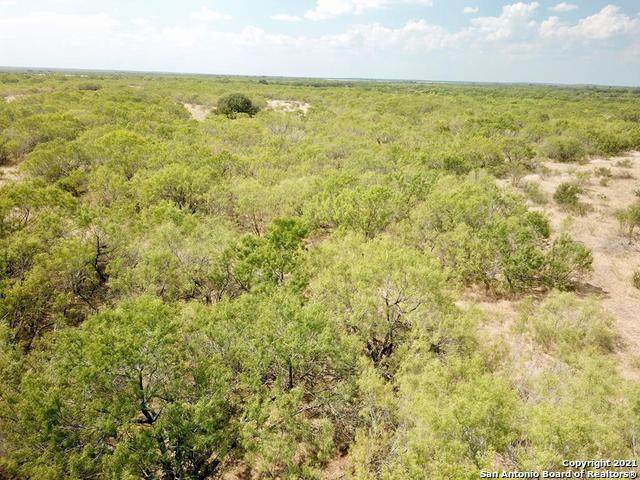 9151 Fm 2200 S - Photo 1