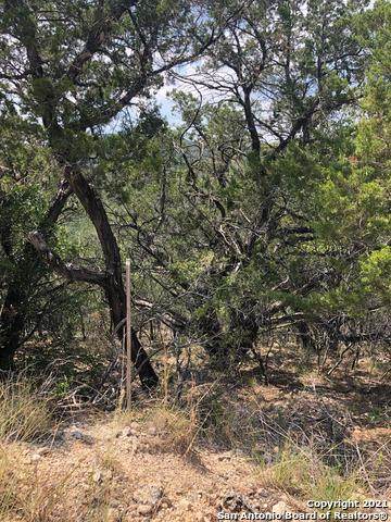 33 Catclaw Mountain Road - Photo 1