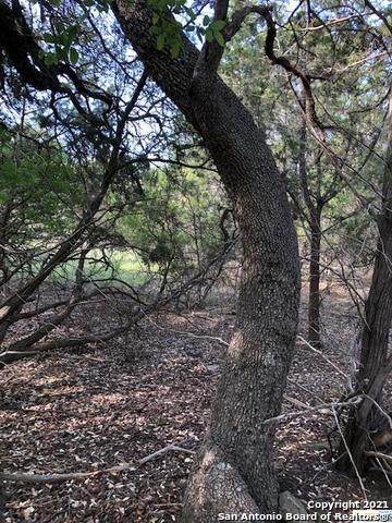 0 Lake Park - Photo 1