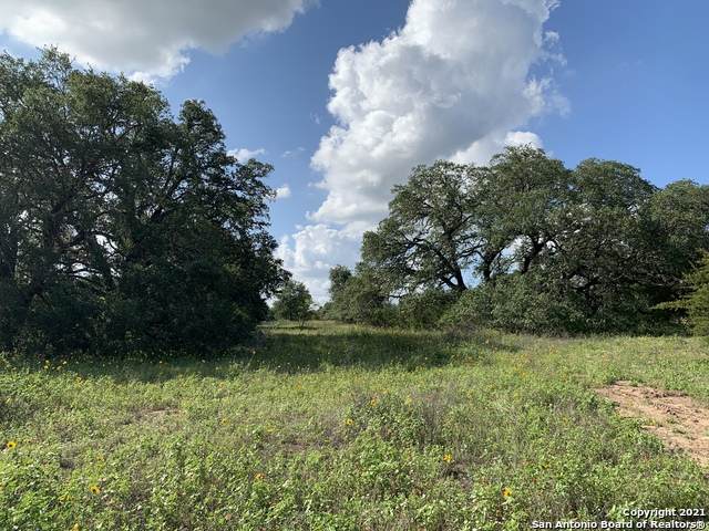 21746 Toudouze - Photo 1