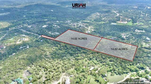 28 ACRES On Park Mountain Drive - Photo 1