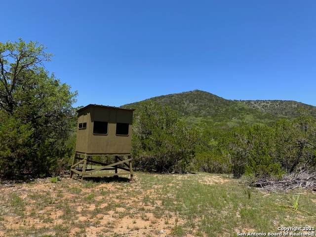 000 County Road 211 Esm - Photo 1