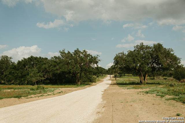 21730 Toudouze Rd - Photo 1