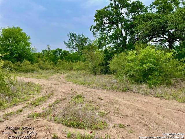 207 Trophy Ln - Photo 1